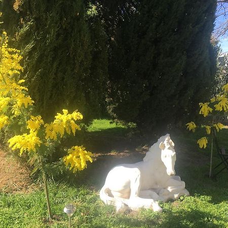 B&B Mas Les Lecques Beaucaire  Luaran gambar