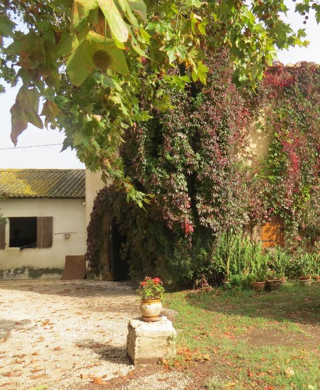 B&B Mas Les Lecques Beaucaire  Luaran gambar