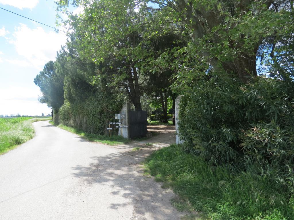 B&B Mas Les Lecques Beaucaire  Luaran gambar