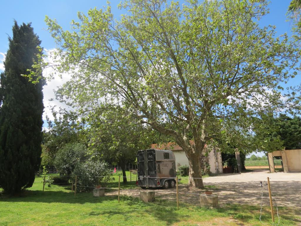 B&B Mas Les Lecques Beaucaire  Luaran gambar