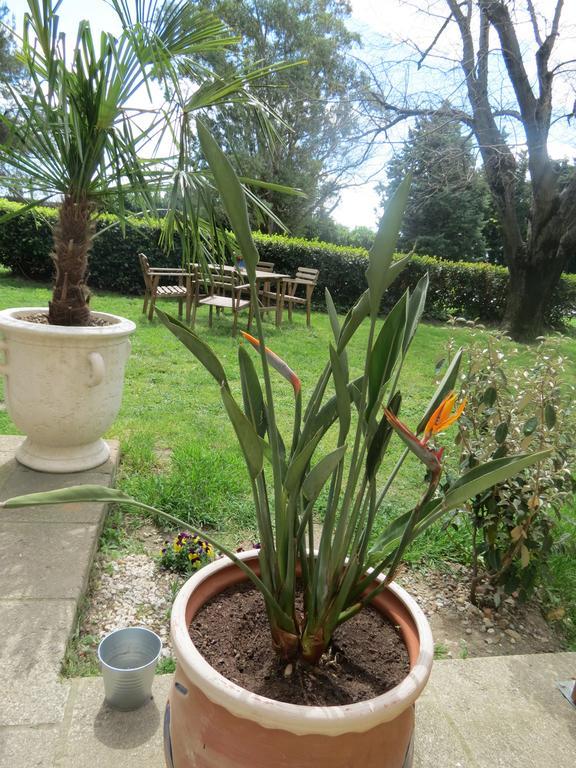 B&B Mas Les Lecques Beaucaire  Luaran gambar