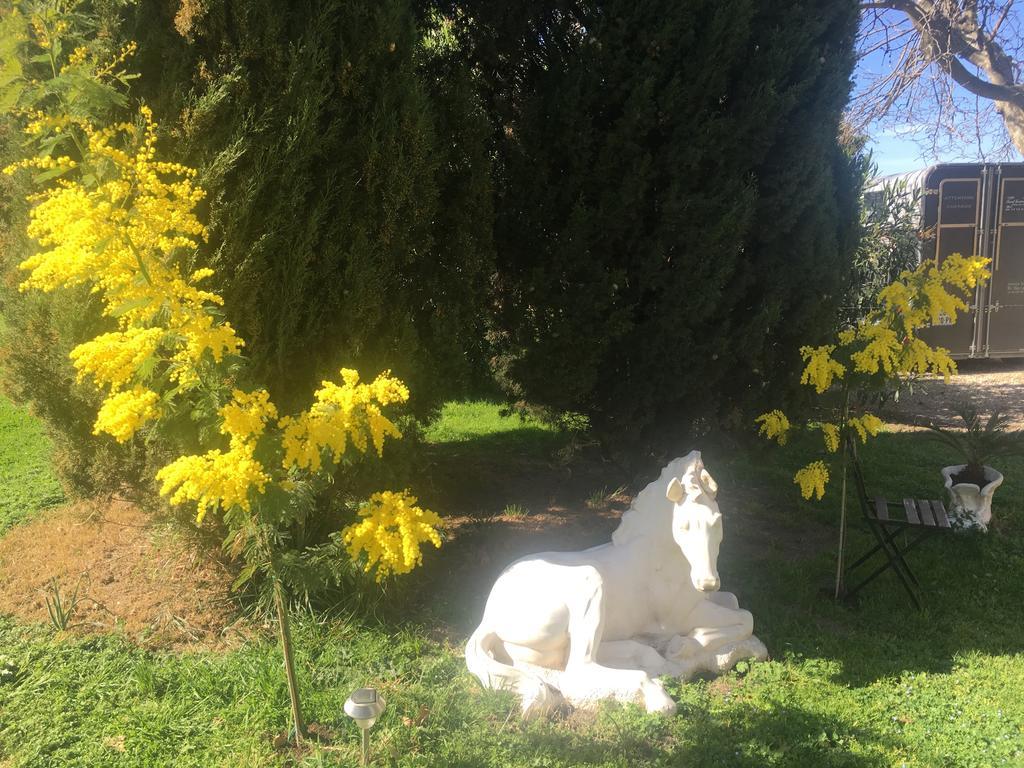 B&B Mas Les Lecques Beaucaire  Luaran gambar